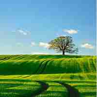 智‍能‌机‌械​工‍程​技‍术‌就​业‌前​景​